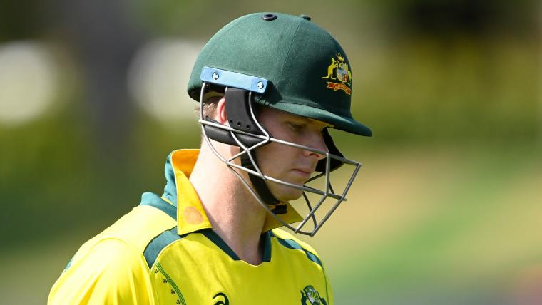 David Warner Heroes Are Not Enough To Defeat to Zimbabwe